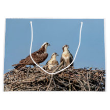 Mamá de Osprey con sus niños