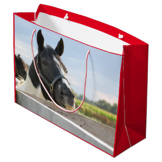 Bolsa De Regalo Grande Masticar el caballo lindo en el post de la cerca