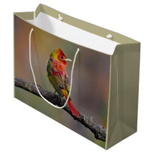 Bolsa De Regalo Grande Moldura de Tanager de escarlata - Fotografía origi