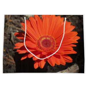 Bolsa De Regalo Grande Naranja brillante Gerbera Daisy Foto