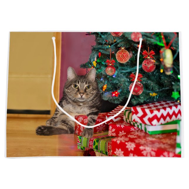Bolsa De Regalo Grande Navidades de gatitos tabby (Anverso)