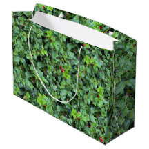 Navidades de Green Holly Berry