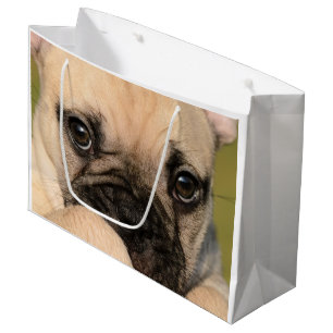 Bolsa De Regalo Grande Ojos de un perrito lindo del bulldog francés