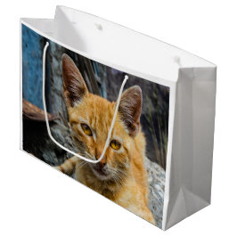 Bolsa De Regalo Grande Ojos dorados