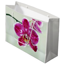 Bolsa De Regalo Grande Orquídea rosa