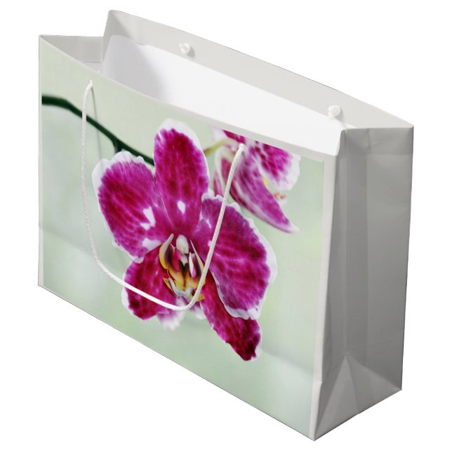 Bolsa De Regalo Grande Orquídea rosa (Angulo Anverso)