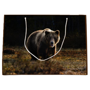 Bolsa De Regalo Grande Oso
