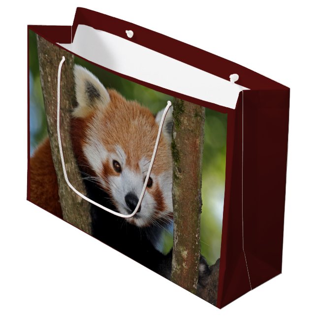 Bolsa De Regalo Grande Panda Portrait Gift Bag (Angulo Anverso)