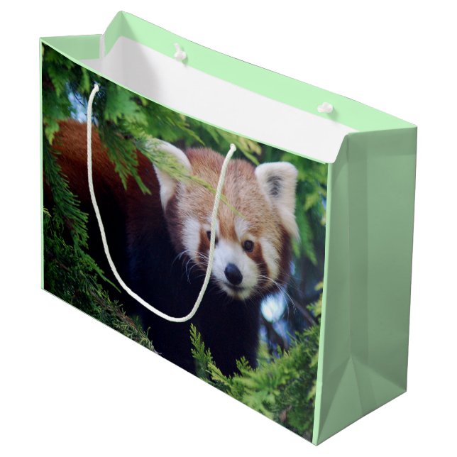 Bolsa De Regalo Grande Panda roja (Angulo Anverso)