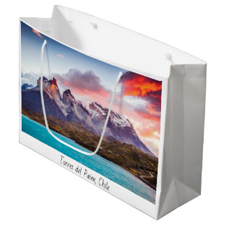 Bolsa De Regalo Grande Patagonia