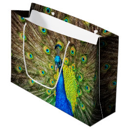 Bolsa De Regalo Grande Pavo real
