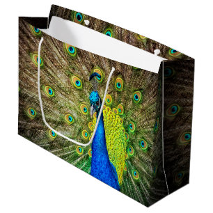 Bolsa De Regalo Grande Pavo real