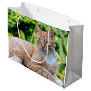 Bolsa De Regalo Grande Pequeño gatito dulce