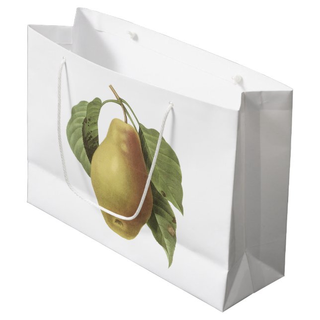 Bolsa De Regalo Grande pera (SP del Pyrus.) por Redouté (Angulo Anverso)
