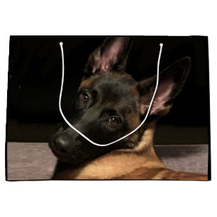 Bolsa De Regalo Grande Perro belga malinois
