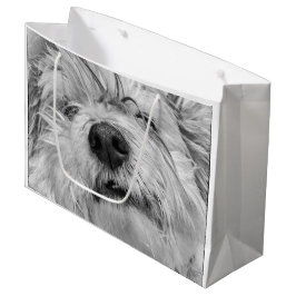 Bolsa De Regalo Grande Perro Coton de Tulear