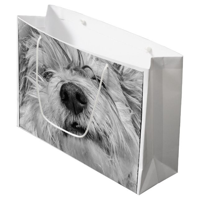 Bolsa De Regalo Grande Perro Coton de Tulear (Angulo Anverso)