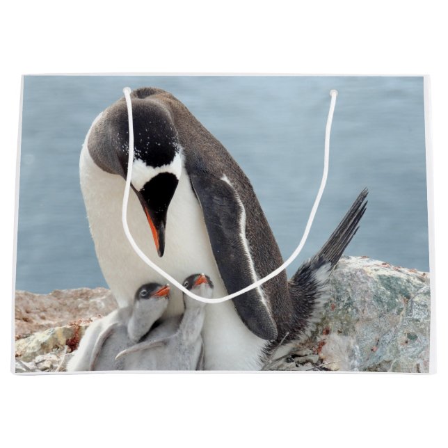 Bolsa De Regalo Grande Pingüino (Anverso)