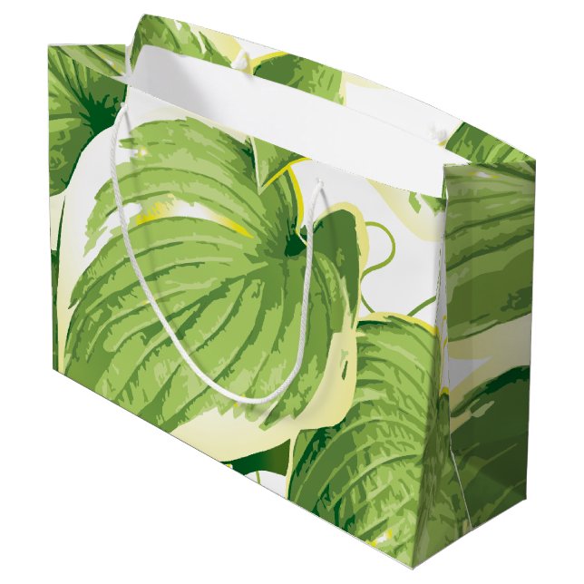Bolsa De Regalo Grande Planta Ficus 2 (Angulo reverso)