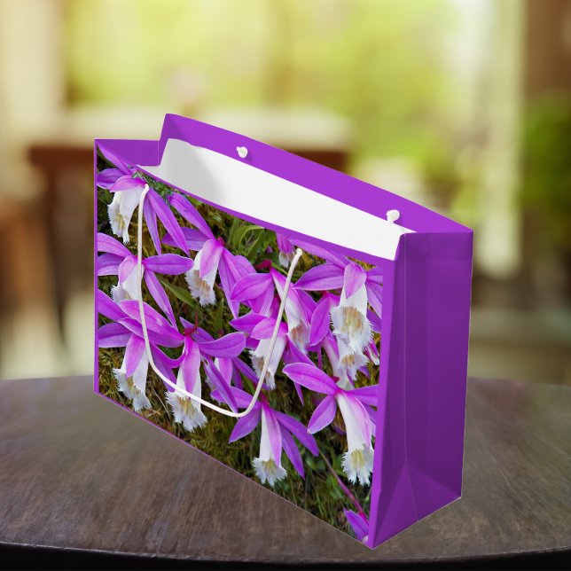 Bolsa De Regalo Grande Pleione morada y blanca Orquídea Floral (In Situ)