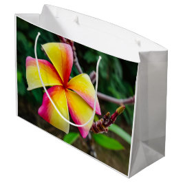 Bolsa De Regalo Grande Plumeria rubra