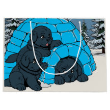 Popal de Super Chill Newfoundland