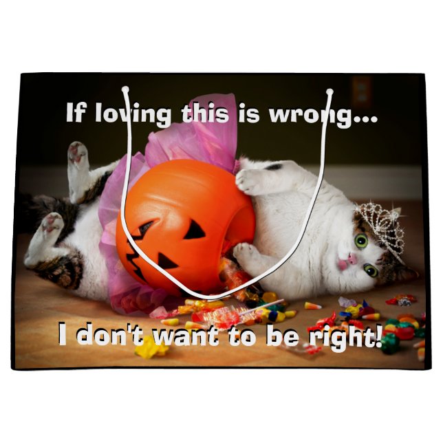 Bolsa De Regalo Grande Princesa Gato Con Cubo De Vela (Anverso)