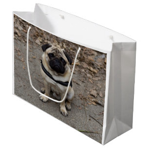 Bolsa De Regalo Grande Pug muy grave