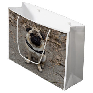 Bolsa De Regalo Grande Pug muy grave