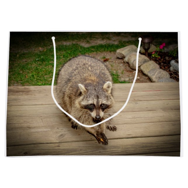 Bolsa De Regalo Grande Raccoon con un chip (Anverso)