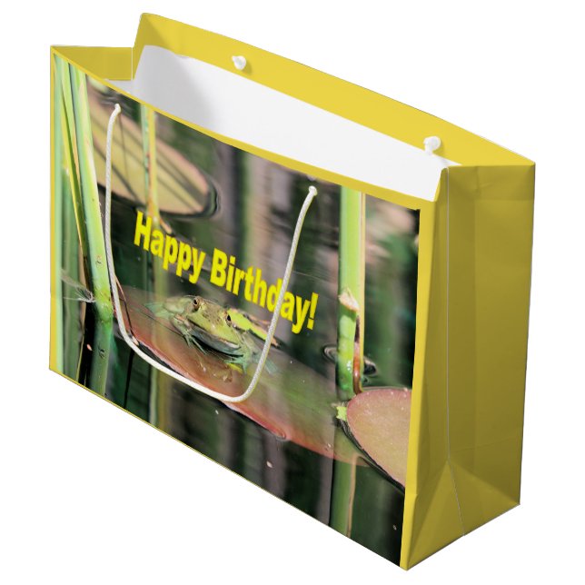 Bolsa De Regalo Grande Rana de cumpleaños (Angulo Anverso)