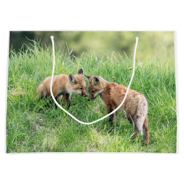 Bolsa De Regalo Grande Red Fox Kits (Anverso)