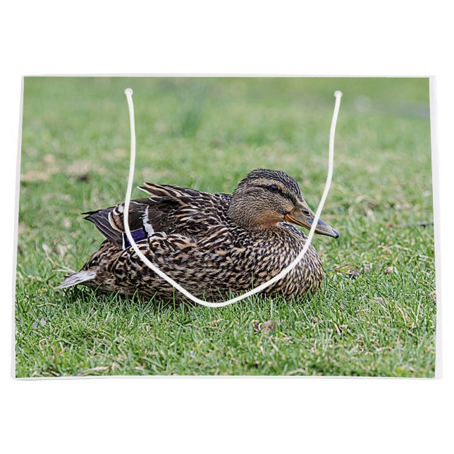 Bolsa De Regalo Grande Retrato de un mallard femenino (Anverso)