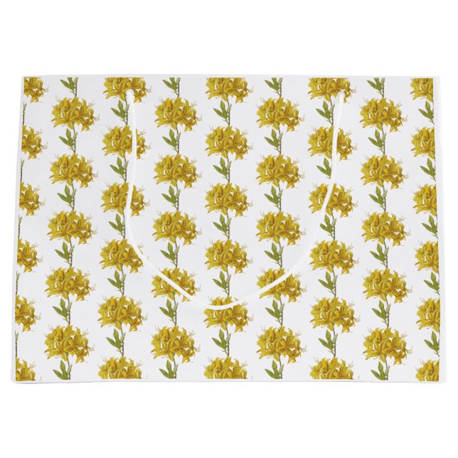 Bolsa De Regalo Grande Rhododendron luteum (Azalea póntica) (Anverso)