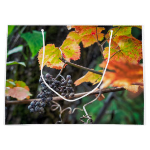Bolsa De Regalo Grande Ripe Isabella grape