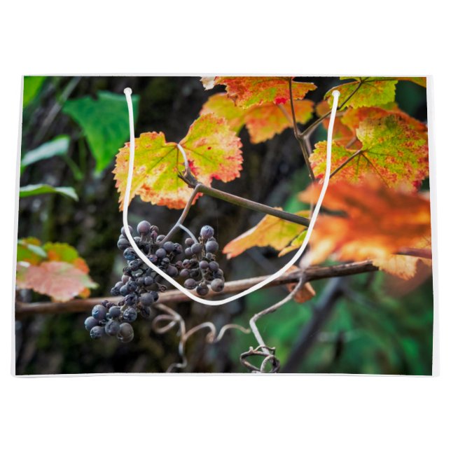 Bolsa De Regalo Grande Ripe Isabella grape (Anverso)