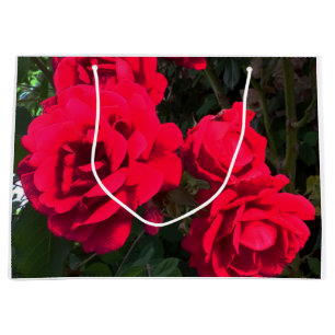 Bolsa De Regalo Grande Rosario Roses Rojos