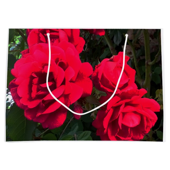 Bolsa De Regalo Grande Rosario Roses Rojos (Anverso)