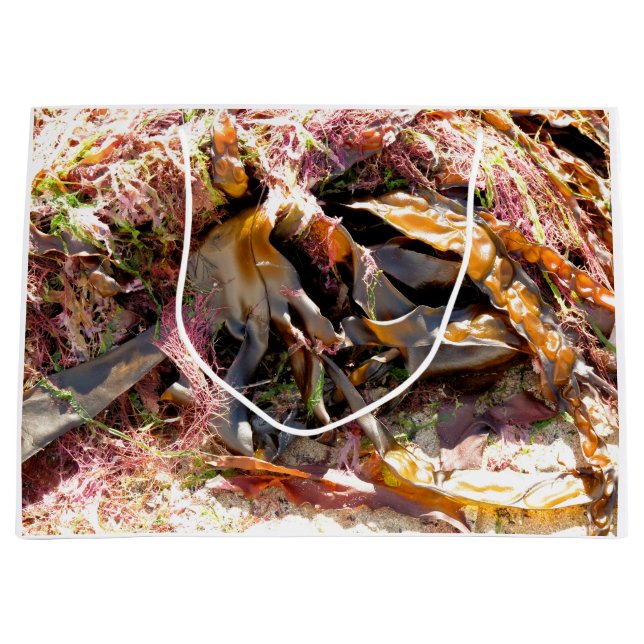 BOLSA DE REGALO GRANDE SEAWEED (Anverso)