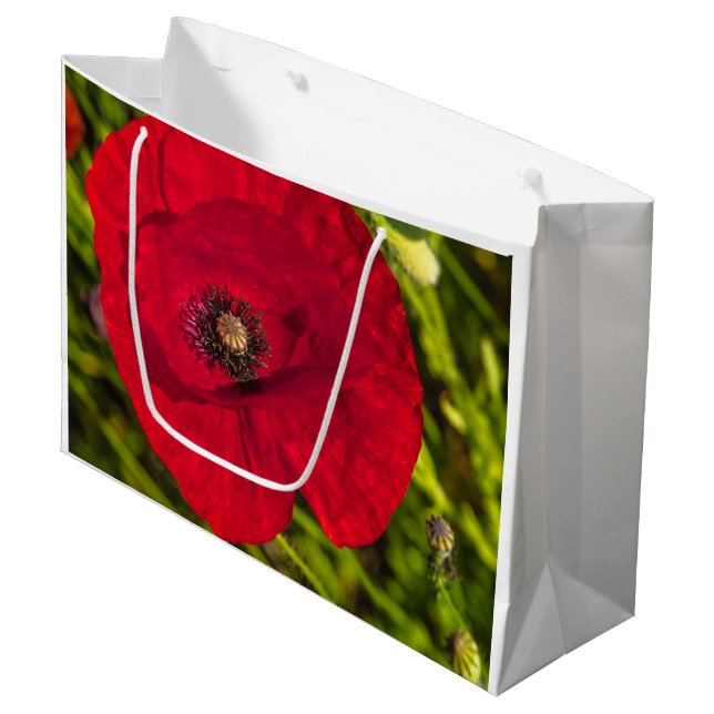 Bolsa De Regalo Grande Serie de amapola #2 (Angulo Anverso)