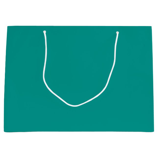 Bolsa De Regalo Grande Solid Teal Green (Anverso)
