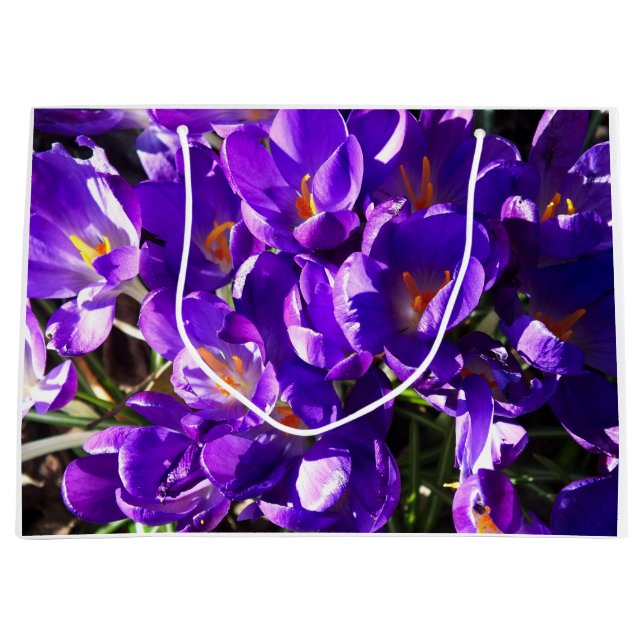 BOLSA DE REGALO GRANDE SPRING CROCUS (Anverso)