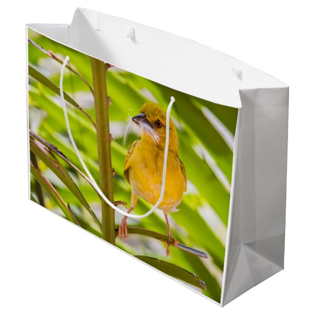 Bolsa De Regalo Grande Tiempo de construir el nido (Angulo reverso)