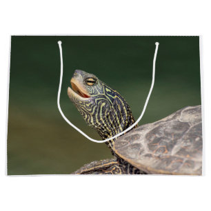 Bolsa De Regalo Grande Tortuga en el río LaChute