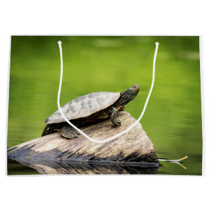 Bolsa De Regalo Grande Tortuga pintada en un tronco