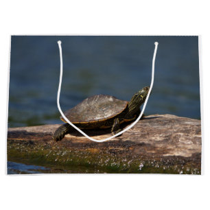 Bolsa De Regalo Grande Tortuga pintada en un tronco