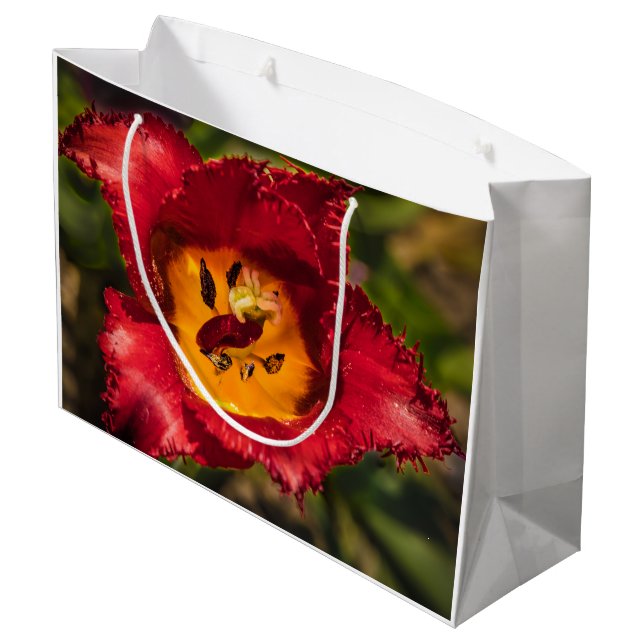 Bolsa De Regalo Grande Tulip rojo (Angulo reverso)