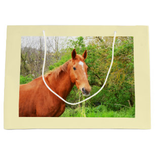 Bolsa De Regalo Grande Un caballo llamado Orion