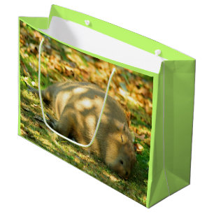 Bolsa De Regalo Grande Un capibara sueña con el sol de verano