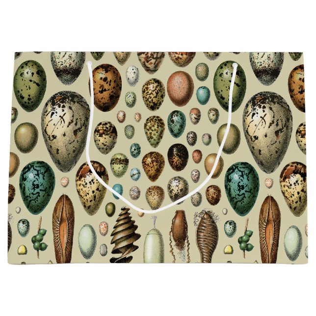 Bolsa De Regalo Grande Various kinds of Egg Scientific Illustration (Anverso)